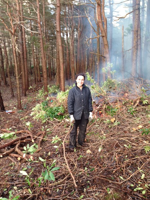 Dragging rhododendrons