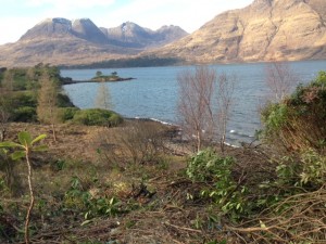 Stunning views out to Ben Alligin now the rhododendrons are cleared.