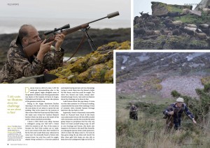 Soay stalking in The Scottish Field