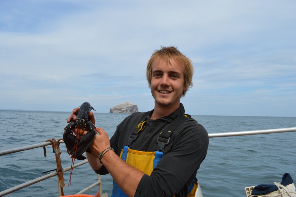 Sam Lowe helps pull up creels around the Bass Rock. 