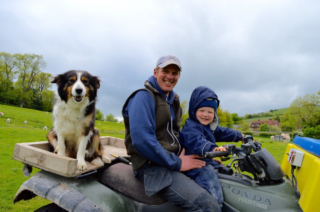 Belle, Roly and Freddie Pukey of Saddlescombe Farm. Don't worry Roly is definitely the one driving. 