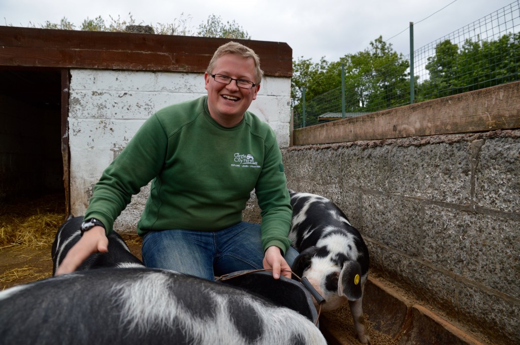 Ross Mackenzie with Berkshire pigs on Gorgie City Farm. 