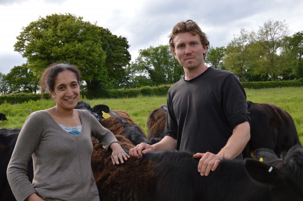 Jade Bartlett and Oli Parsons with some of their Galloway/Angus cross cattle grazing Darlington Estate, Devon. 