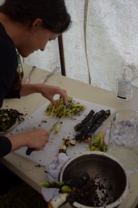 Cutting charred leeks into juliennes...