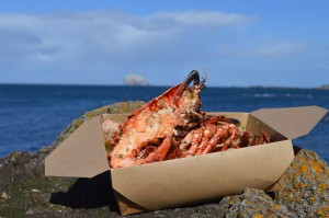 The best lobster because you know exactly where it came from. 