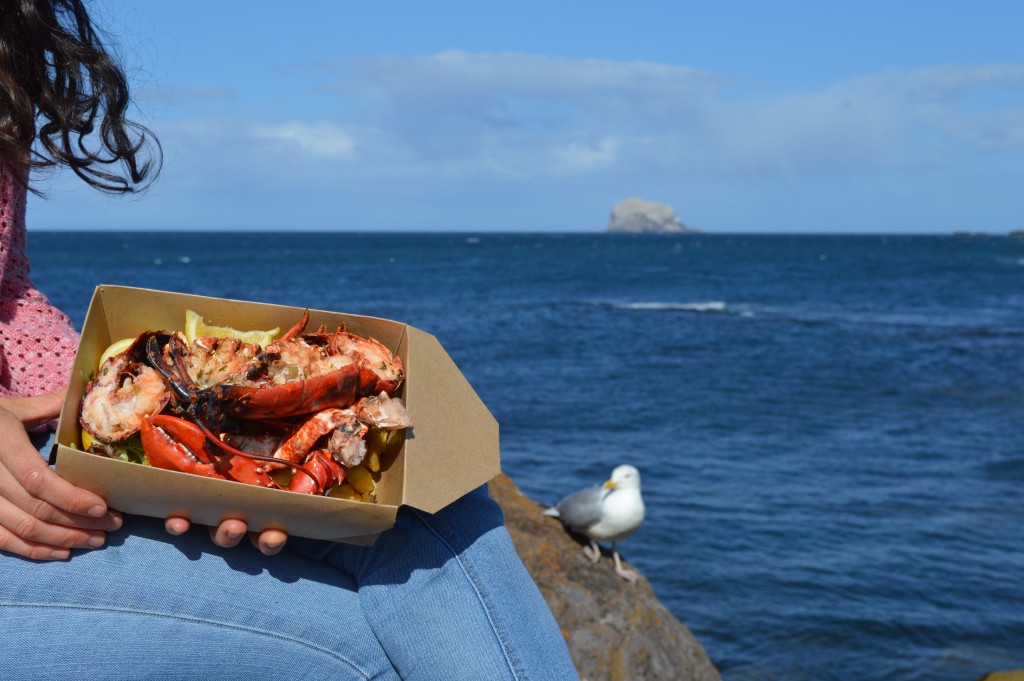 Lobsters caught and eaten off North Berwick. Sorry, but I didn't share it with the seagull... 