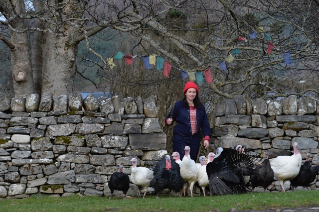 Free-range turkeys raised with care by farmer Lucy Beattie