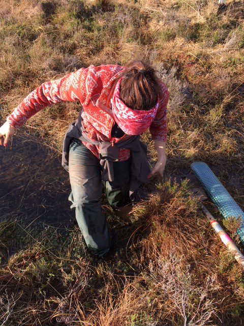 We often ended up in bogs. 