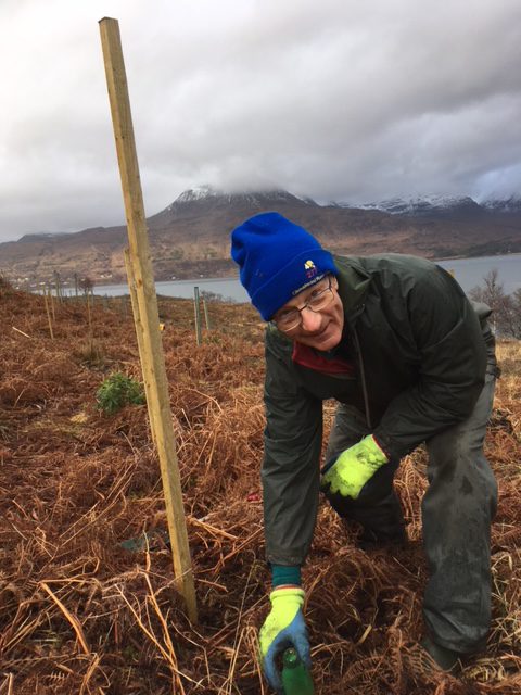 A small amount of slow release fertiliser was given to each tree. 