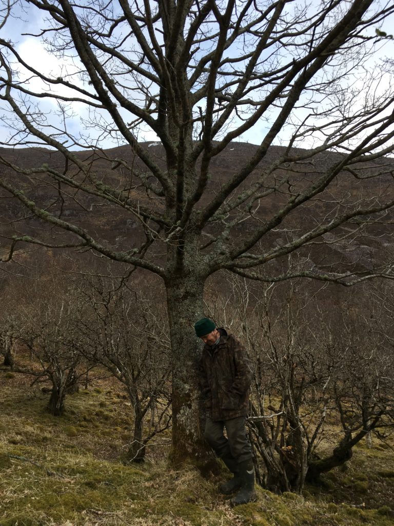 My father with an oak tree he planted 35 years ago. 