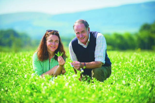 Plant protein from peas. © Angus Blackburn, Scottish Field