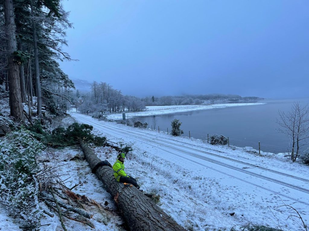 Once the trees were down it was time for a rest. 